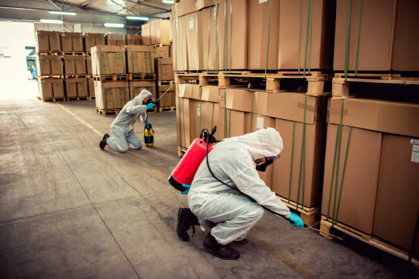 Best Best Pest Control Companies  in Mked Tree, AR
