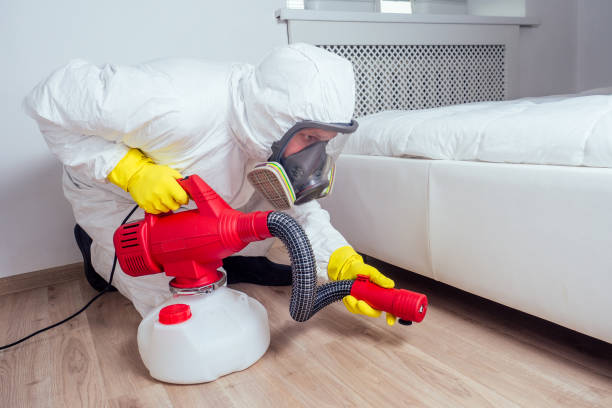 Best Ant Control Services  in Mked Tree, AR