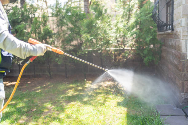 Best Pest Control for Businesses  in Mked Tree, AR