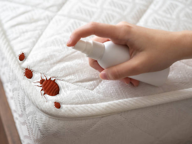 Best Pest Inspection Near Me  in Mked Tree, AR