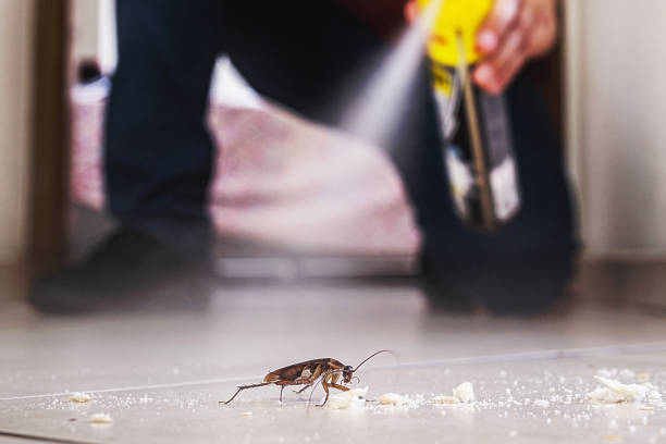 Best Residential Pest Control  in Mked Tree, AR
